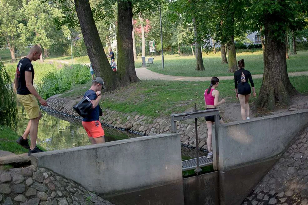 W parku Radolińskich brakuje kilku mostków nad ciekami wodnymi. Mają być, ale kiedy? [ZDJĘCIA] - Zdjęcie główne