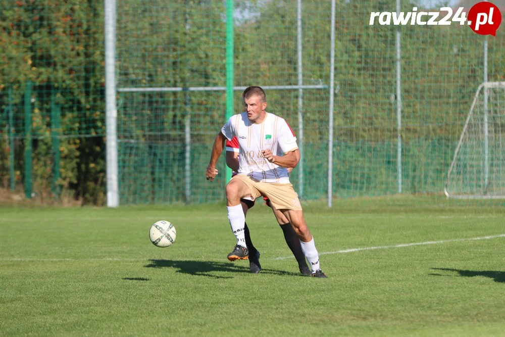 Awdaniec Pakosław - Wisła Borek Wielkopolski 2:5