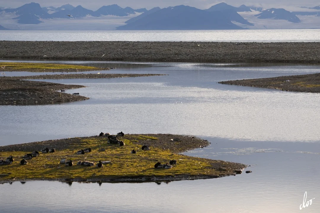 Wyprawa pleszewian na Spitsbergen