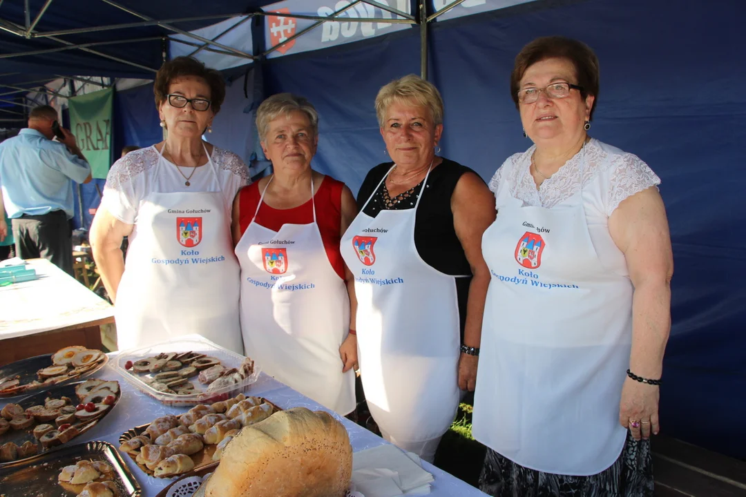 Dożynki Powiatu Pleszewskiego w Gizałkach