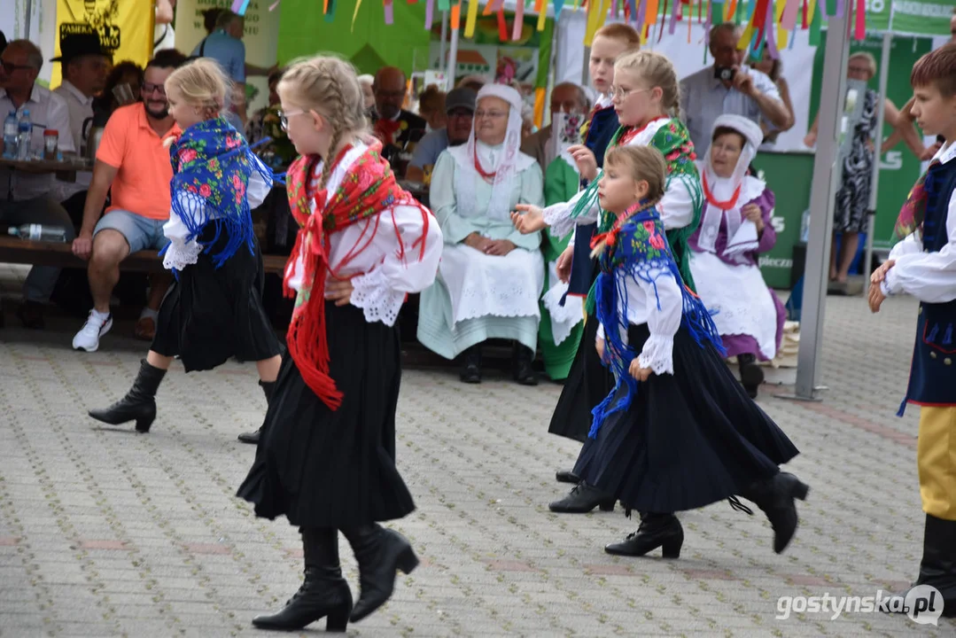 18. Prezentacje Zespołów Ludowych Wielkopolski w Borku Wlkp.