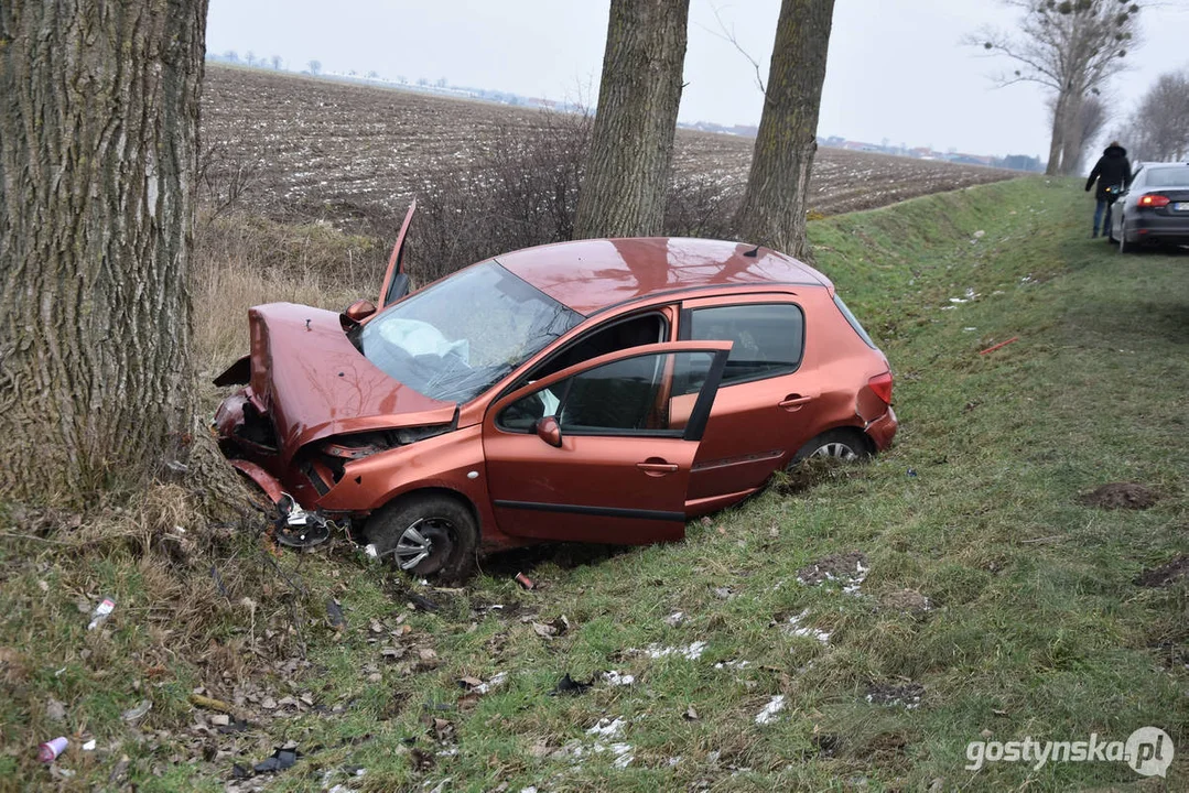 Wypadek samochodowy na drodze Strzelce Wielkie - Lipia (droga Piaski - Pogorzela)