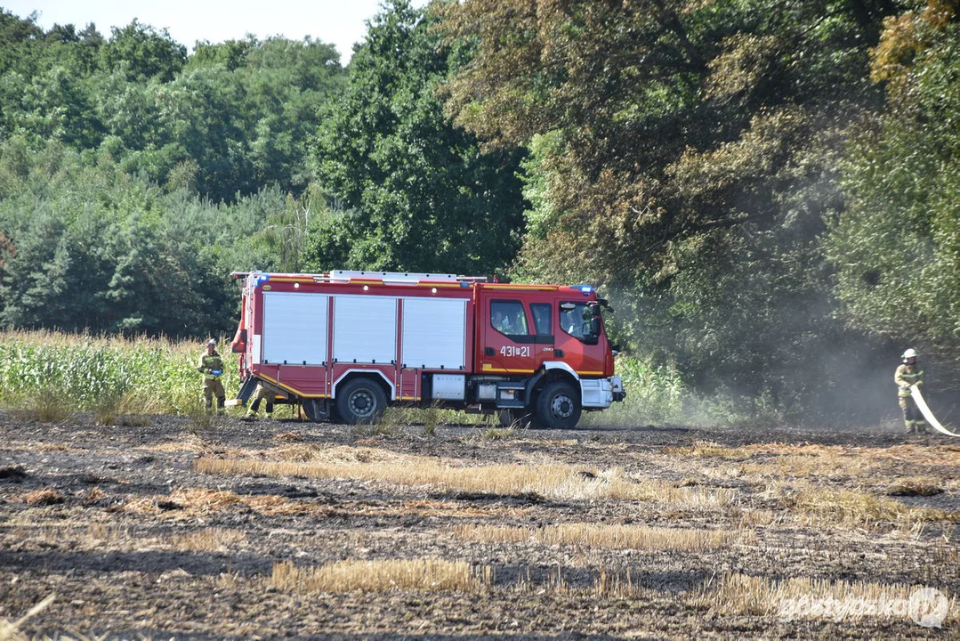 Pożar zboża w Osowie (gm. Gostyń)