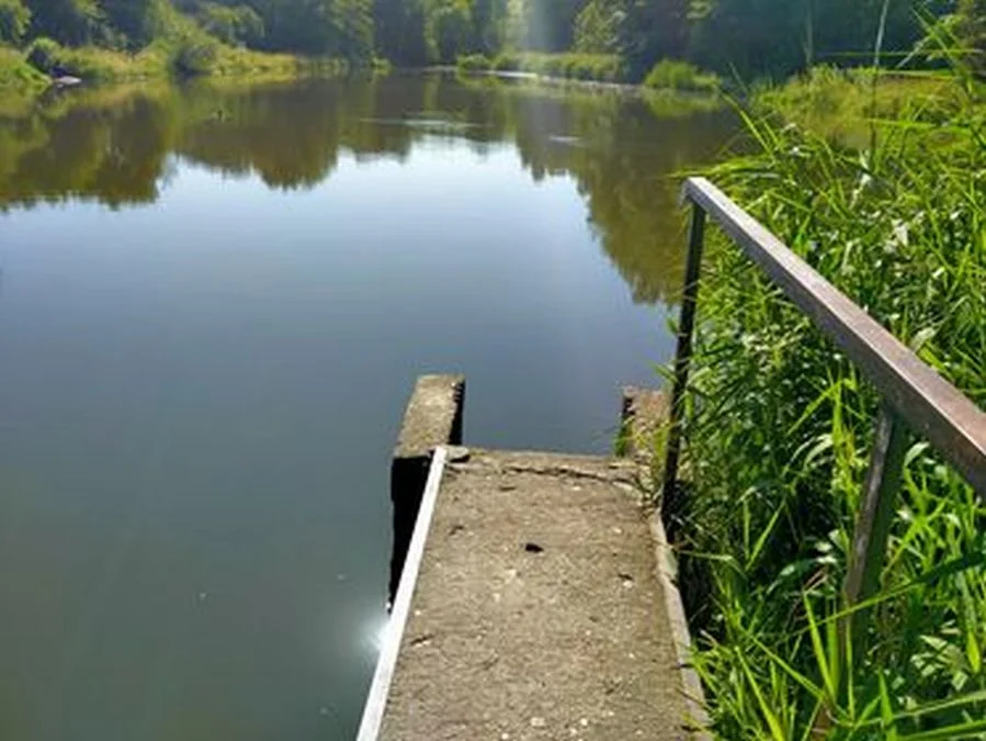 Staw przy ulicy Estkowskiego w Jarocinie