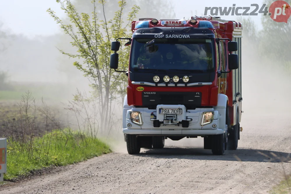 Pożar w lesie pomiędzy Zieloną Wsią a Dębnem Polskim