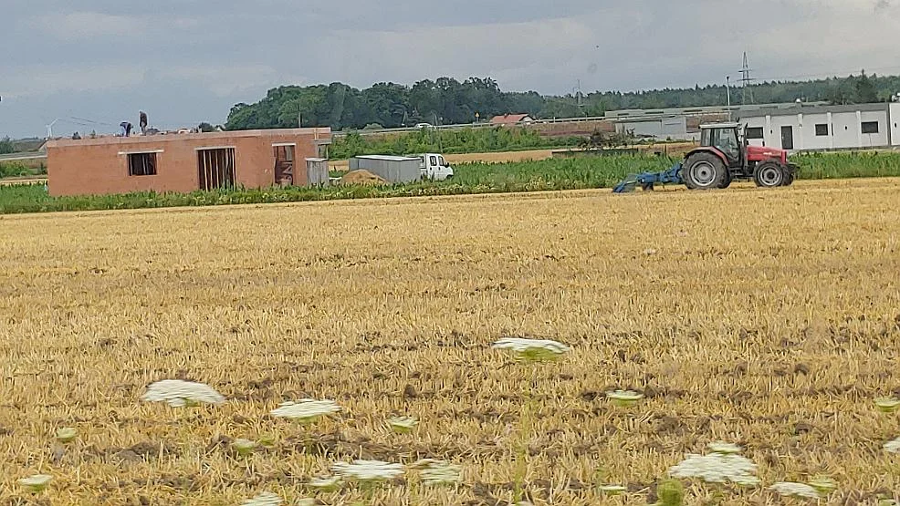 Mieszczuchy na wsi. Czyli śmierdzi, głośno i niedobrze. A miał być spokój