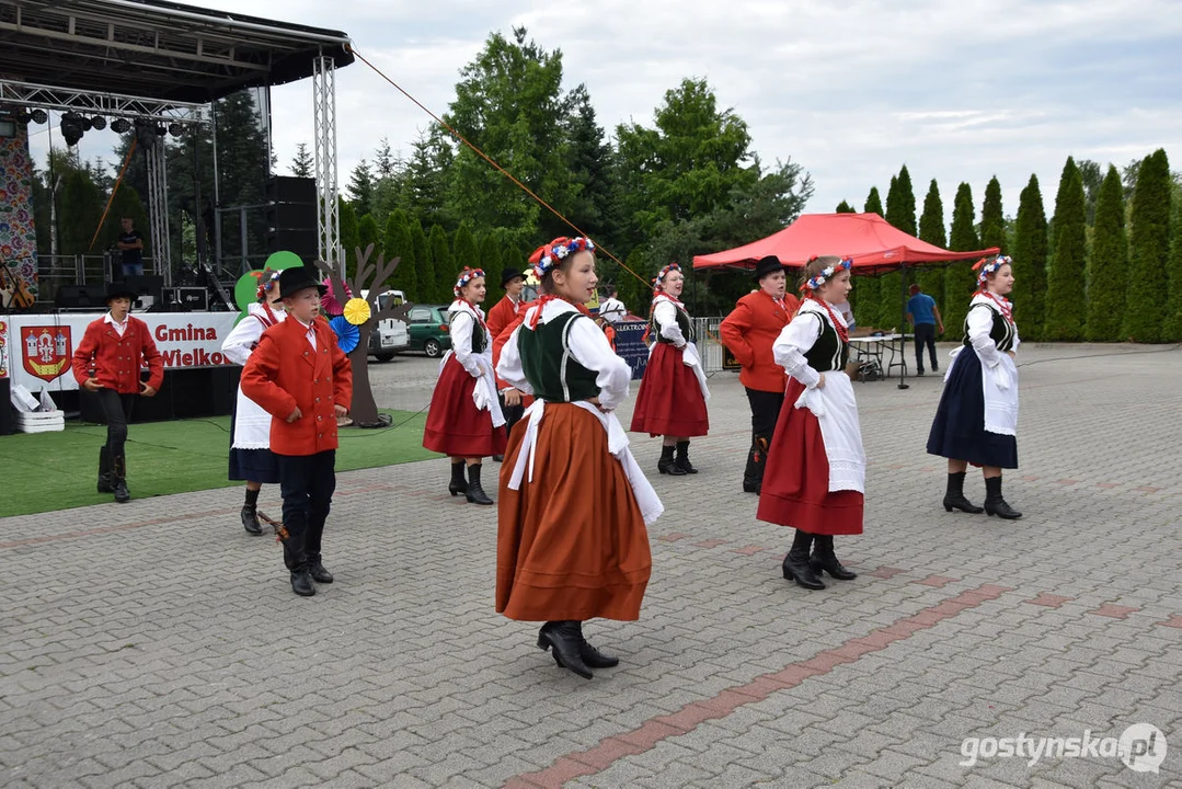 18. Prezentacje Zespołów Ludowych Wielkopolski w Borku Wlkp.