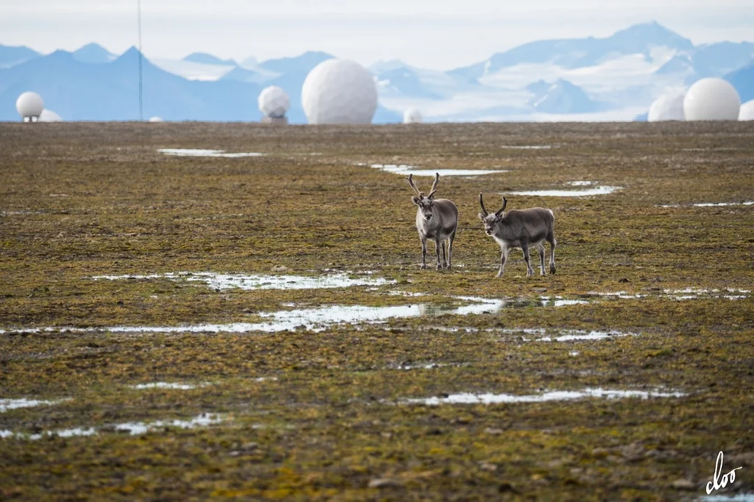 Wyprawa pleszewian na Spitsbergen