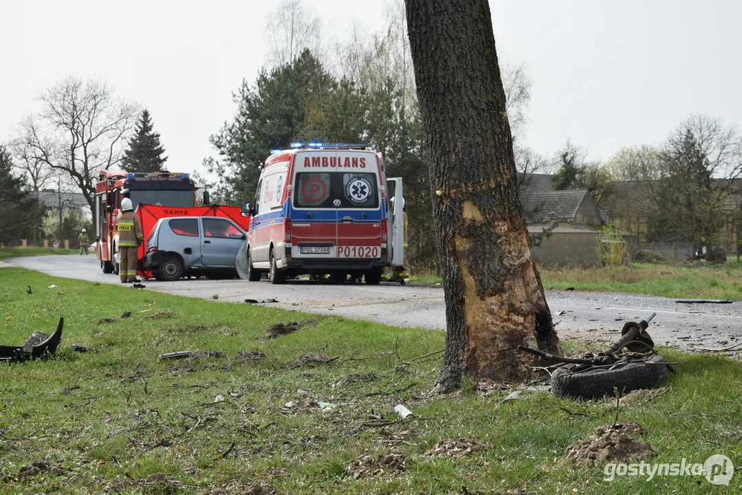 Tragiczny wypadek drogowy pomiędzy Gostyniem a Poniecem, 43-letnia kobieta zginęła na miejscu po zderzeniu auta z drzewem