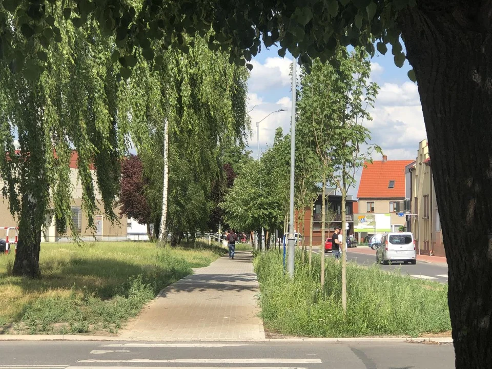 Nowe ekoprzystanki w Jarocinie. Co z wiatami przy ul. Dąbrowskiego i Siedlemińskiej?