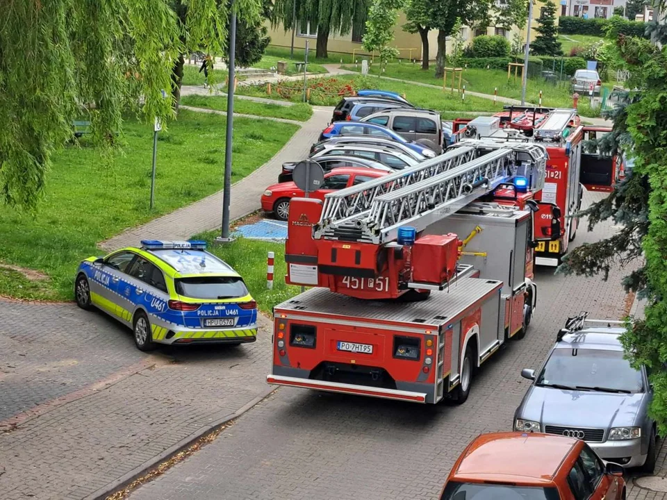 Nie ma kontaktu z lokatorką. Na miejscu pracują strażacy i policjanci - Zdjęcie główne