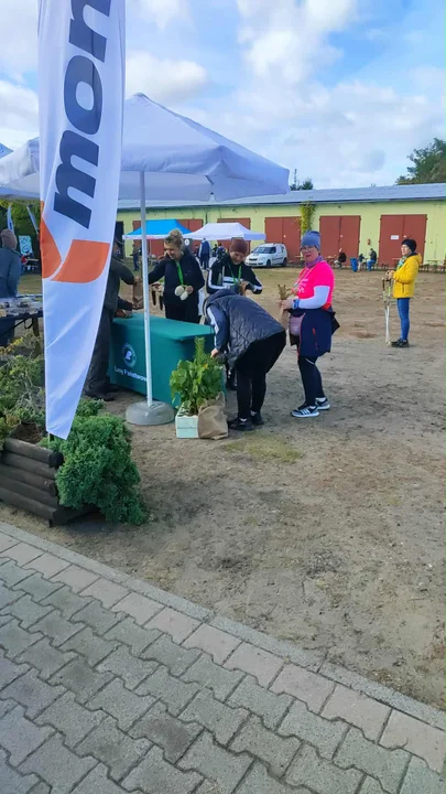 V Marsz po zdrowia z nordic walking w ramach Leśna Triada 2025 w Piaskach