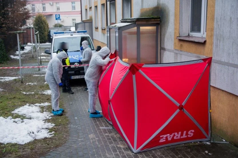 Jedno zabójstwo i trzy gwałty. Jak wygląda przestępczość na terenie powiatu jarocińskiego? - Zdjęcie główne