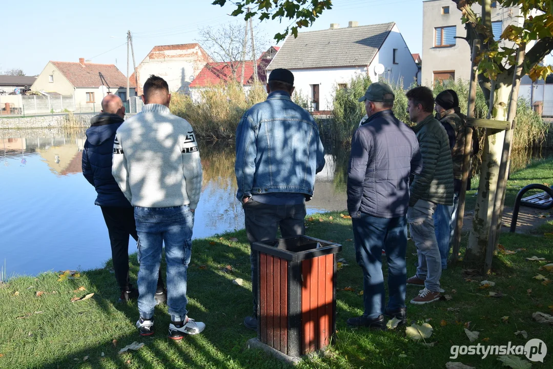 Zarybianie stawu "Kirchnera" w Krobi