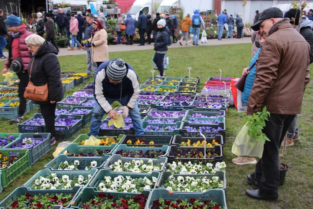 Przed nami Wiosenne Targi Rolno-Ogrodnicze AGROMARSZ 2024 w Marszewie. Zobacz program - Zdjęcie główne