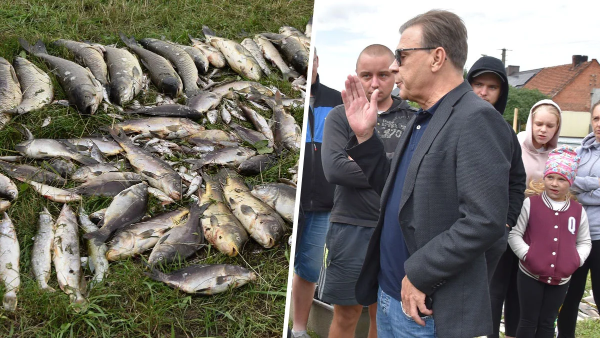 Staw w Kromolicach pełen martwych ryb. Kto zawinił tym razem? Mieszkańcy coś podejrzewają... - Zdjęcie główne