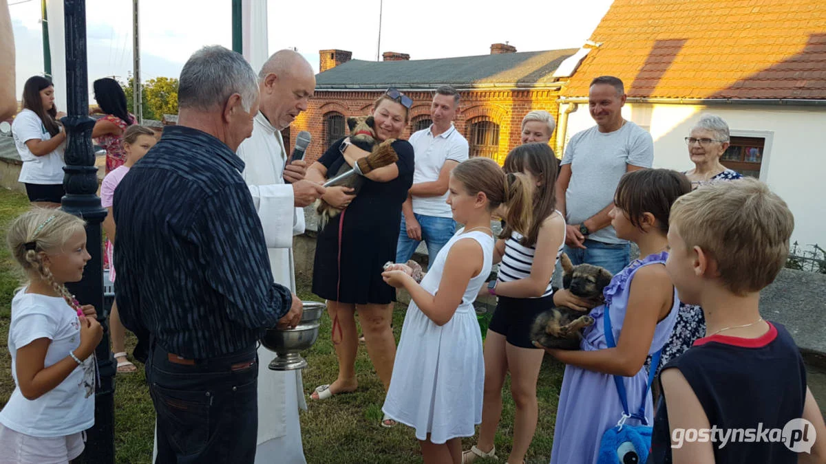 Błogosławieństwo zwierząt domowych w kościele w Starym Gostyniu