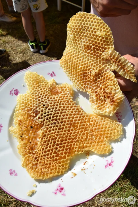 Warsztaty "Spotkanie z naturą" w Pracowni "Czarcie Żebro" w Lipiu