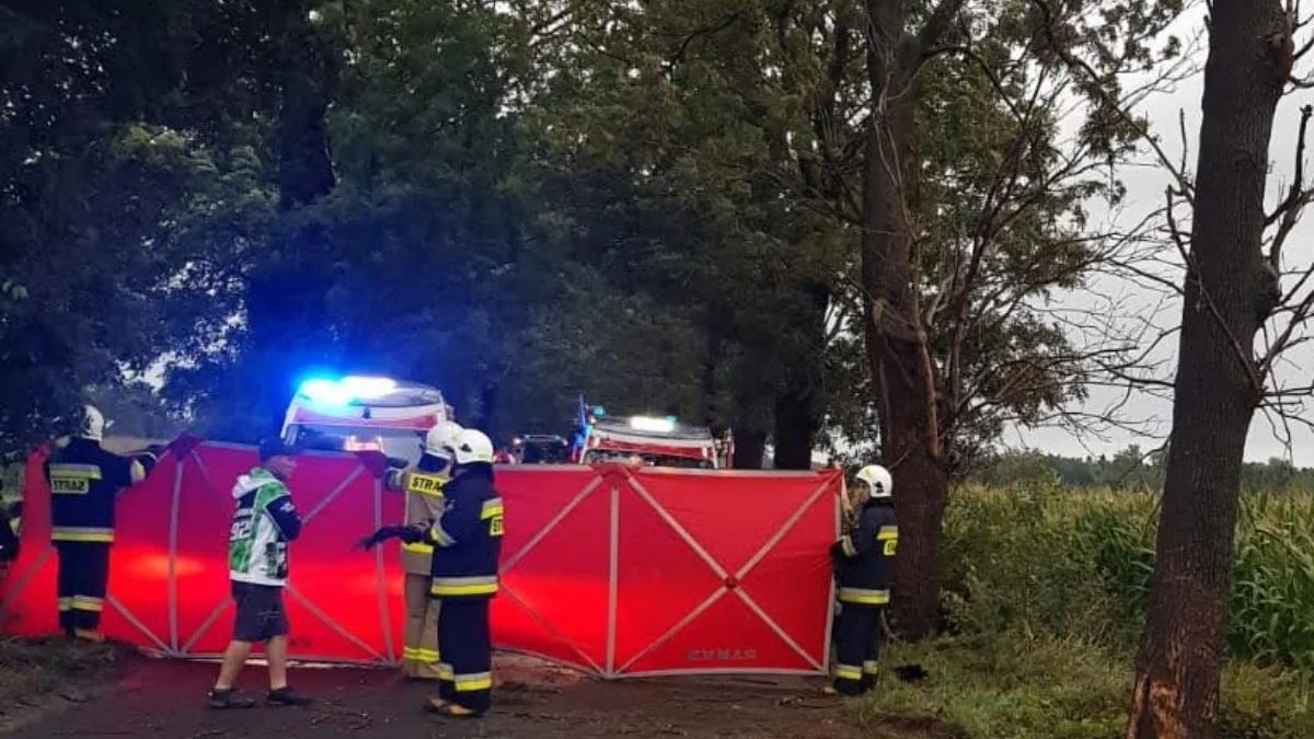 Tragiczny wypadek w gminie Kobylin. Nie żyje 26-latek z powiatu gostyńskiego - Zdjęcie główne