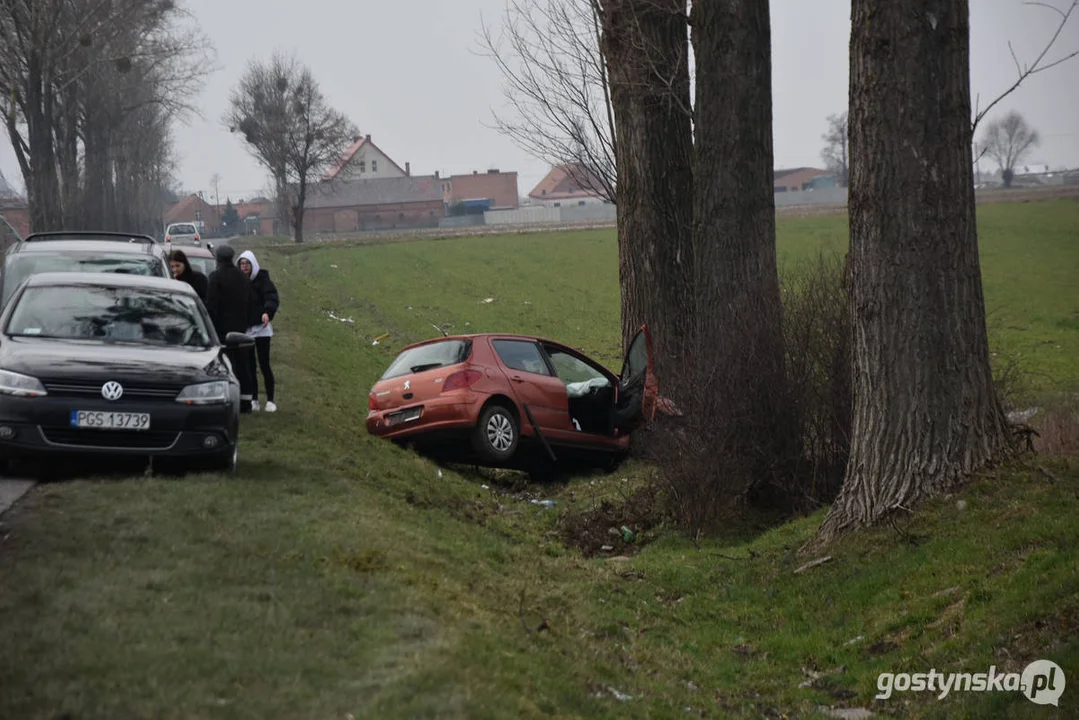 Wypadek samochodowy na drodze Strzelce Wielkie - Lipia (droga Piaski - Pogorzela)