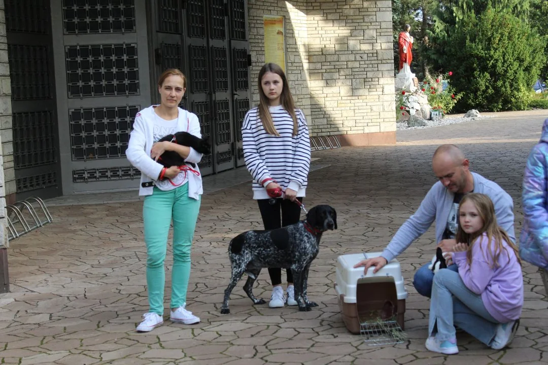 U franciszkanów w Jarocinie z okazji odpustu błogosławiono zwierzęta