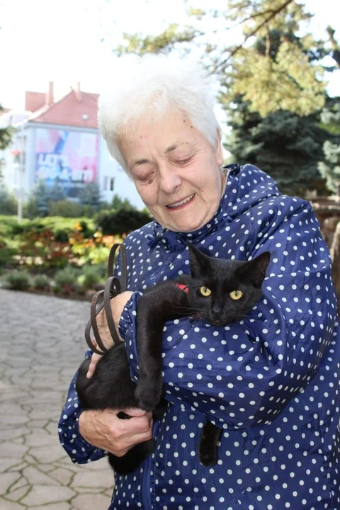 Franciszkanie w Jarocinie. Odpust św. Franciszka z Asyżu