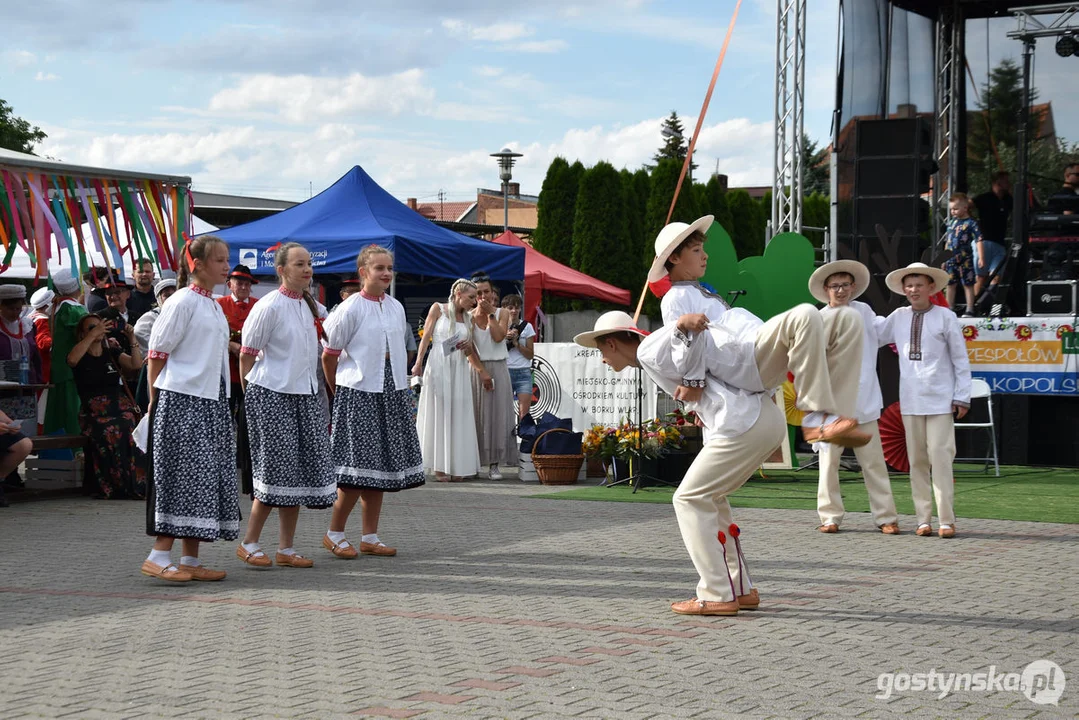 50-lecie działalności artystycznej Zespołu Regionalnego Borkowiaki