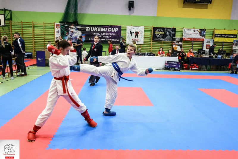 Kobylin. Turniej Karate o Puchar Burmistrza