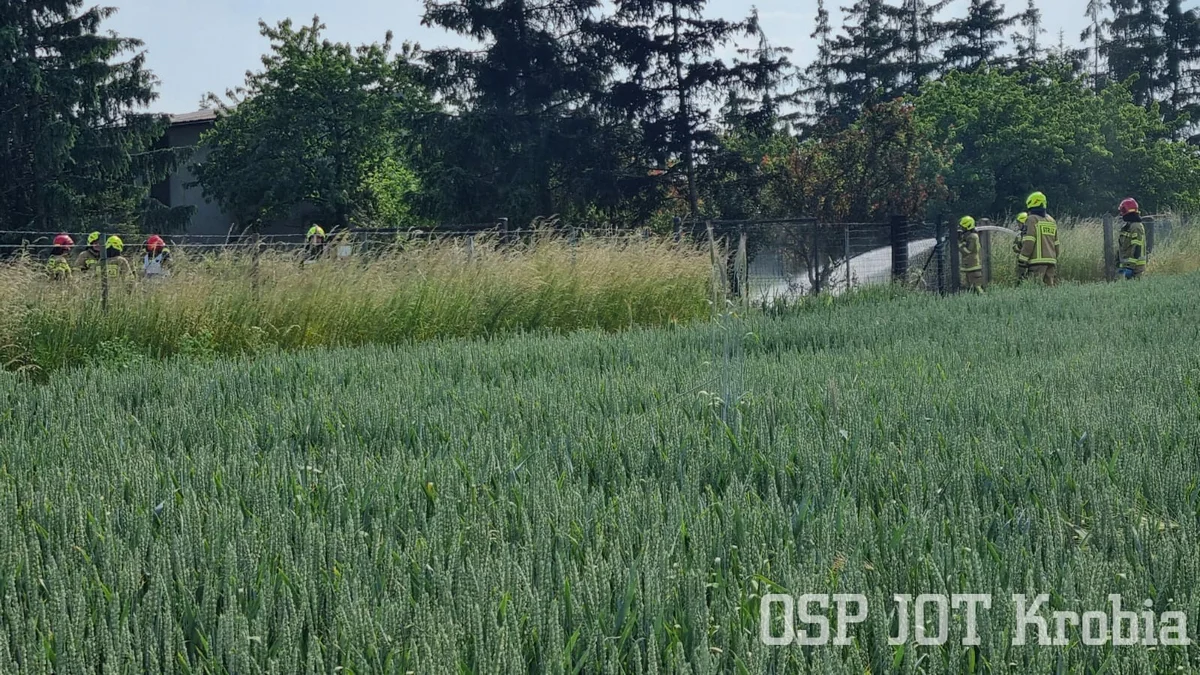 Pożar na prywatnej posesji w Krobi