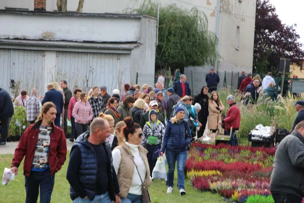 Wyróżnienie dla KGW w Witaszyczkach na targach w Marszewie