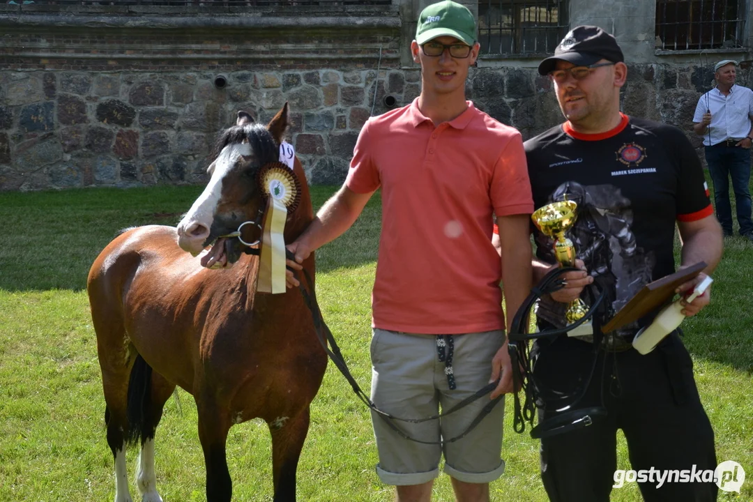 Rokosowo Horse Show 20224 - Konie i Powozy na Zamku Wielkopolskim w Rokosowie