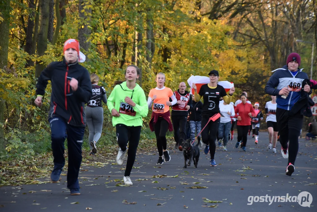 Biegi Niepodległości w Gostyniu - przegląd