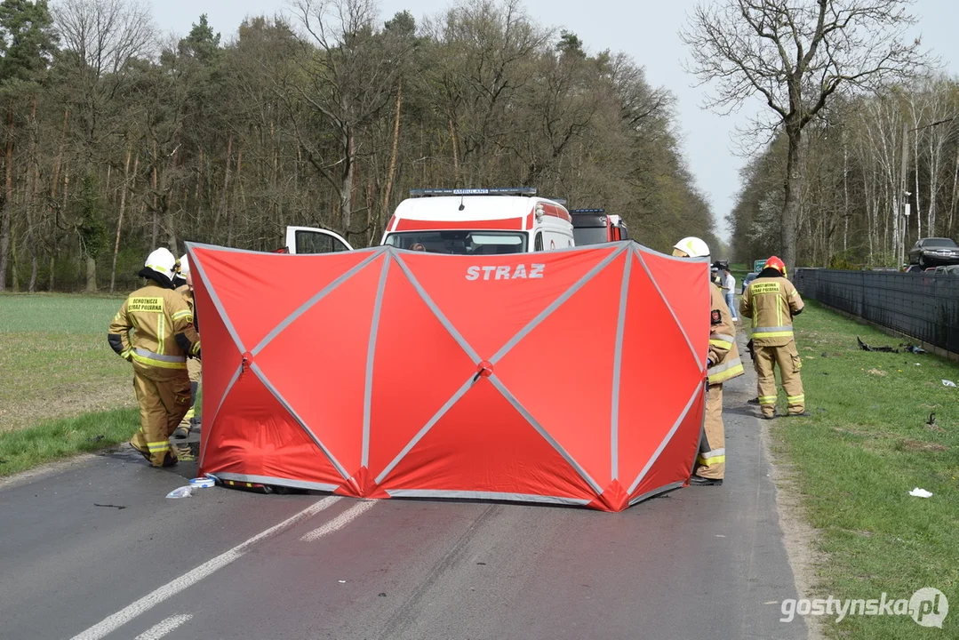 Tragiczny wypadek drogowy pomiędzy Gostyniem a Poniecem, 43-letnia kobieta zginęła na miejscu po zderzeniu auta z drzewem