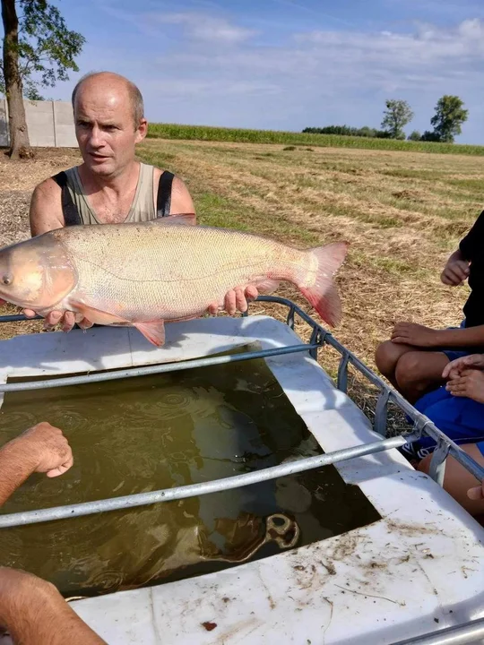 Rewitalizacja stawów w Strzelcach Wielkich i Strzelcach Małych