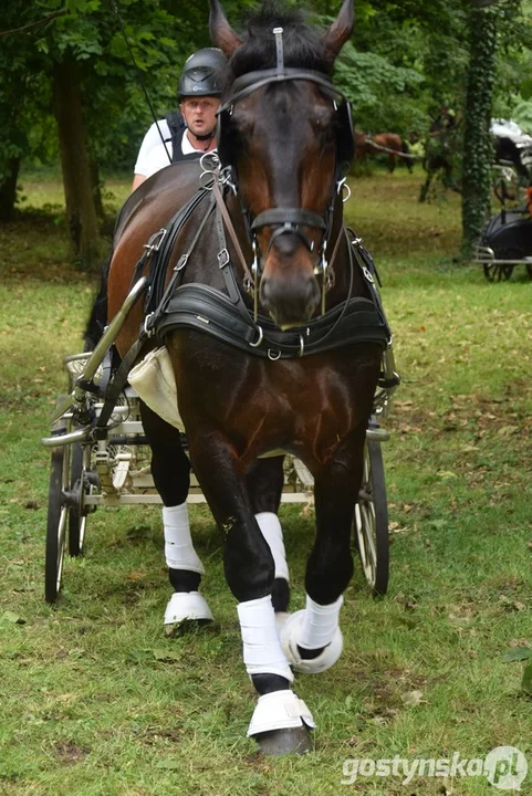 Rokosowo Horse Show 2024 - dzień pierwszy