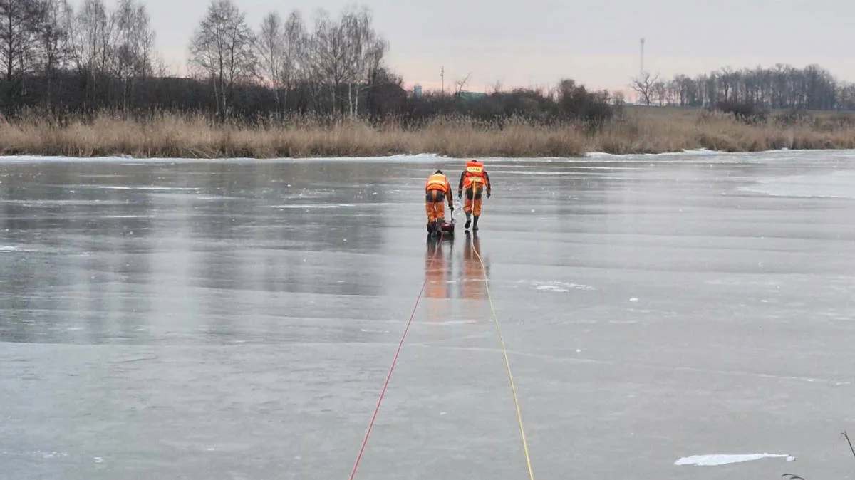 Dramatyczna akcja na zalewie w Roszkowie. Strażacy walczyli o życie kilkunastu łabędzi [ZDJĘCIA, SONDA] - Zdjęcie główne