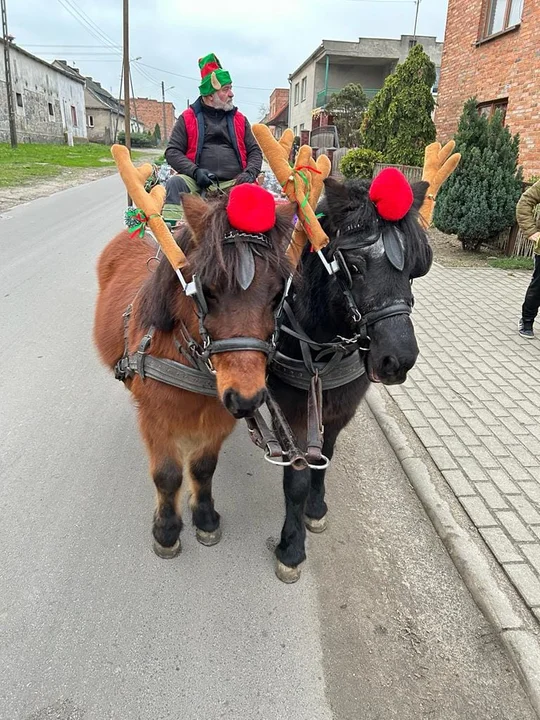 Do Kosowa Święty Mikołaj przyjechał bryką z reniferami-kucami