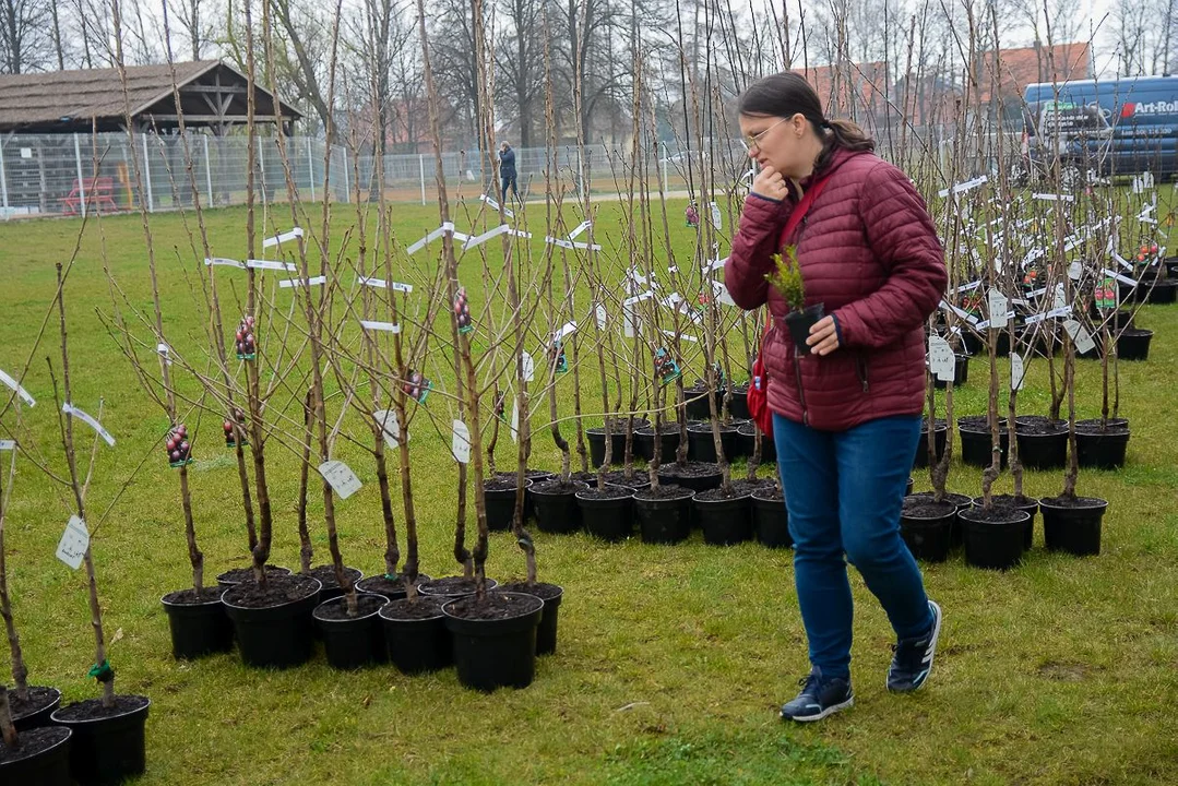 W Jarocinie trwająTargi Wiosenne i "WIelkanoc w parku Radolińskich"