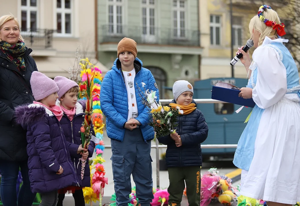 Najdłuższe palmy miały ponad 3 metry