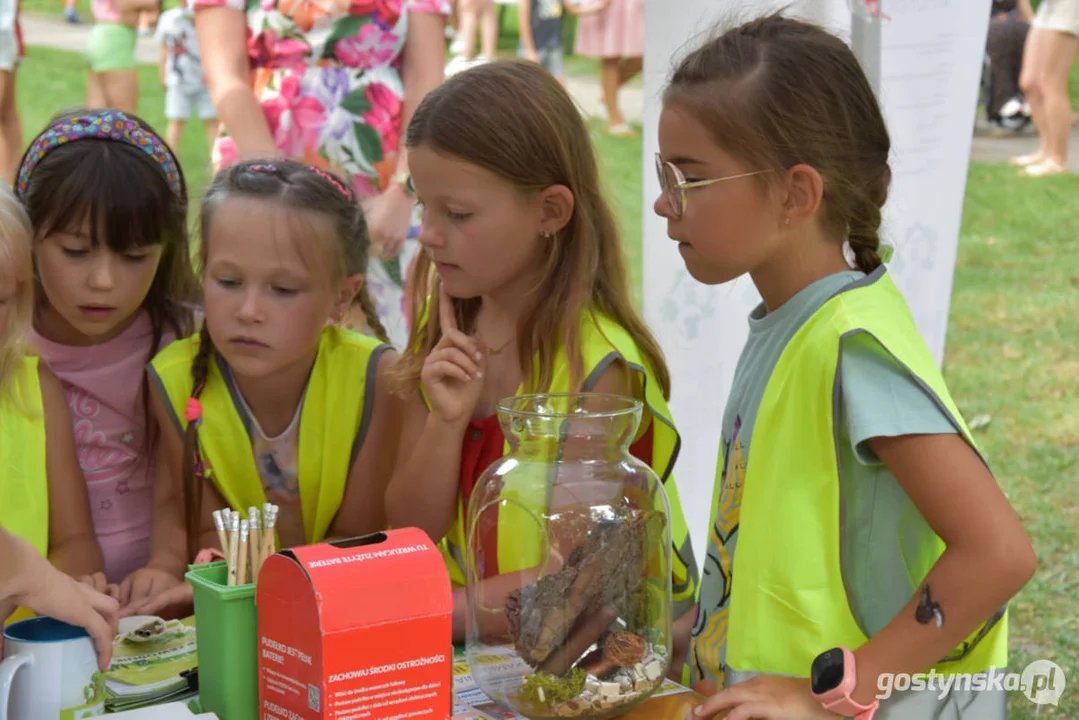 Rodzinny piknik w Pogorzeli - z alpakami i kamykami