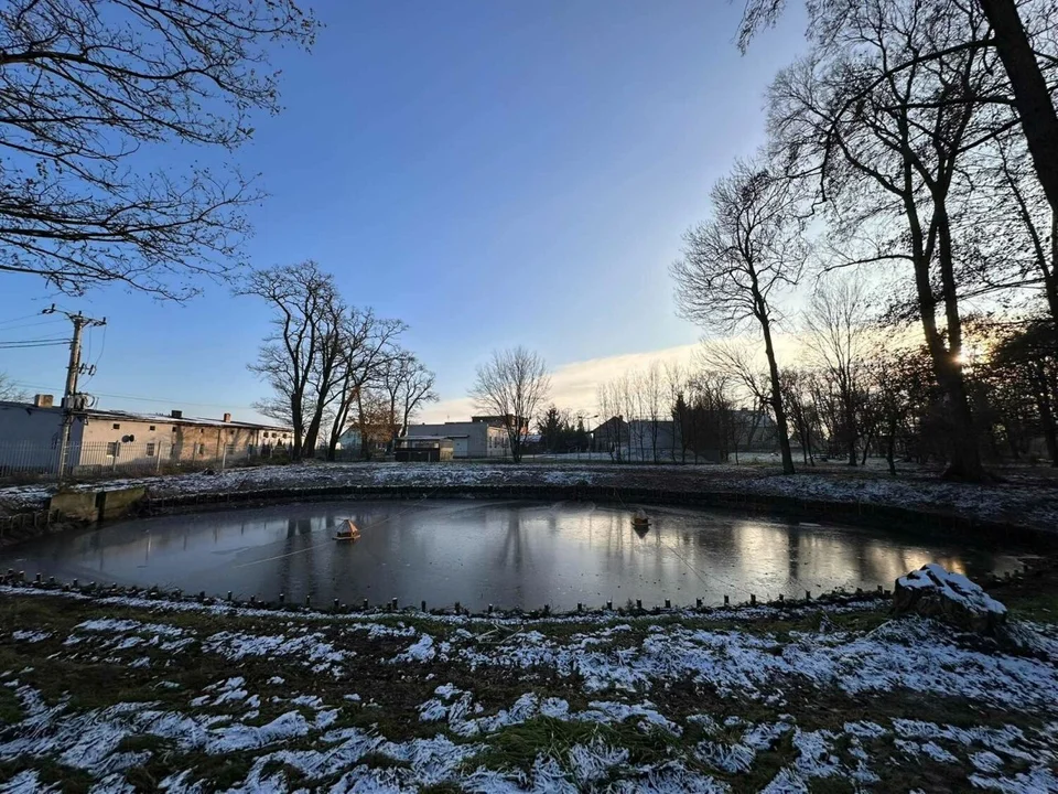 Zabytkowy park w Czerminie przejdzie kolejny etap rewitalizacji - Zdjęcie główne