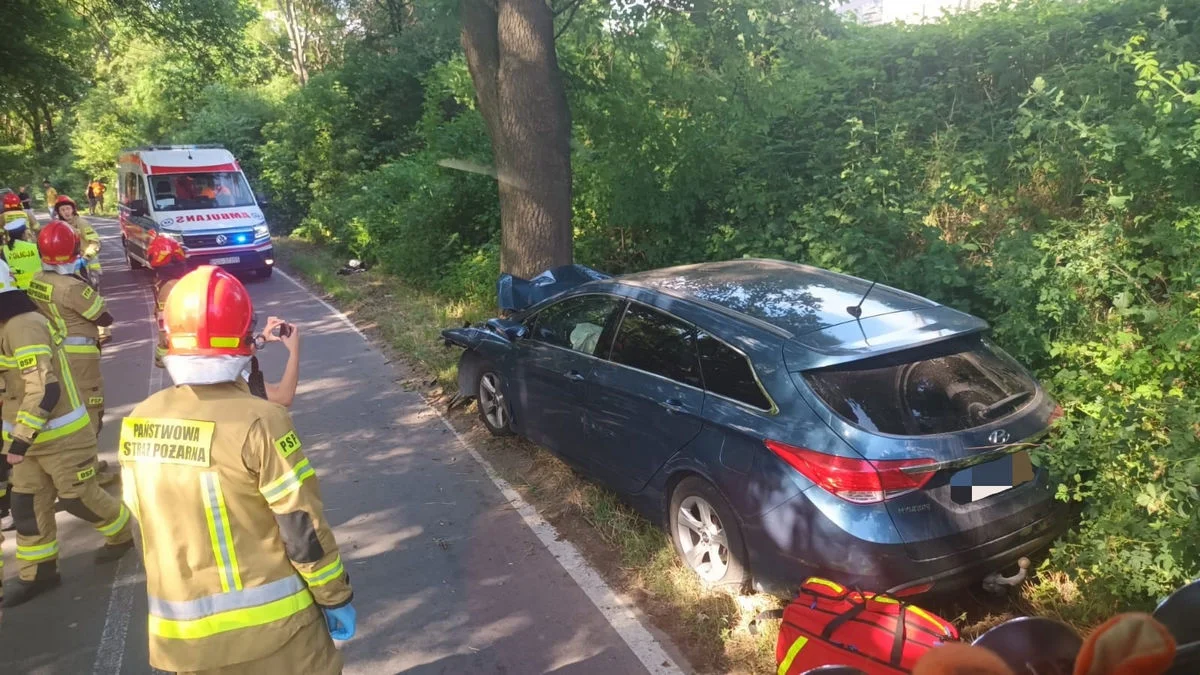 Samochód osobowy uderzył w drzewo w Piaskach