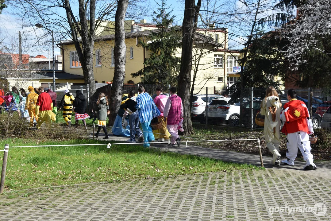 Zając w przedszkolach. Akcja Młodzieżowej Rady Miejskiej w Gostyniu