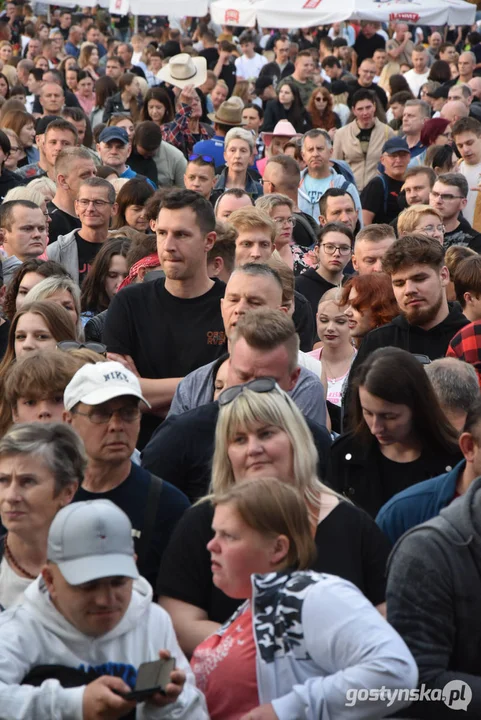 Koncert zespołu Dżem w Gostyniu. Dni Gostynia 2024