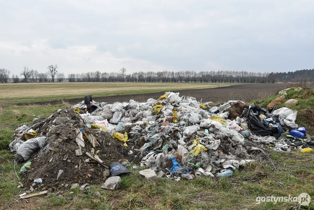 Ogromna hałda śmieci na polu w Żytowiecku