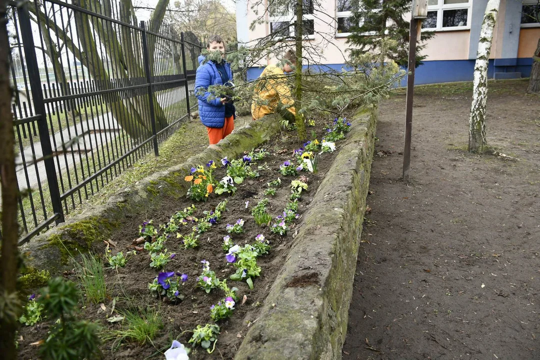 Dzień Wiosny w Szkole Podstawowej nr 3 w Gostyniu