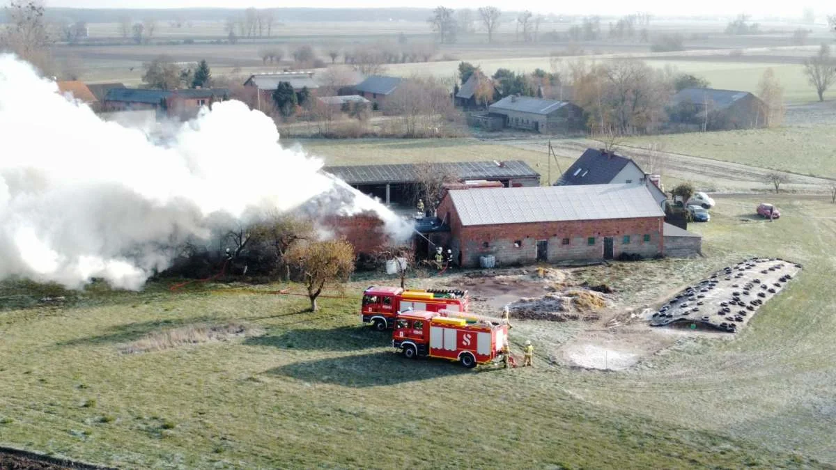 Pożar w Chwałowie. Akcja trwa już kilka godzin - Zdjęcie główne