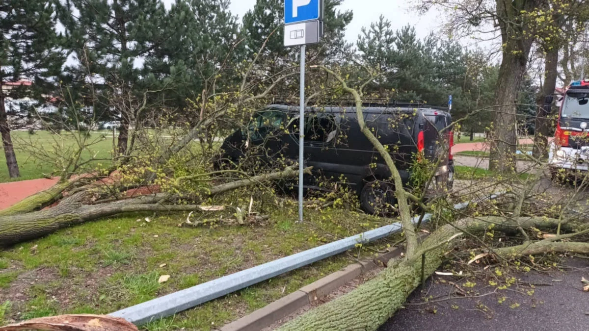 Silny wiatr spowodował szkody w powiecie gostyńskim