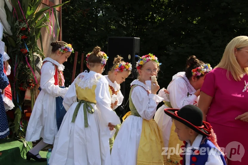 Kolorowe dożynki w Lenartowicach