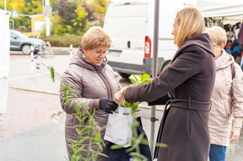 Akcja „Zazieleniamy Jarocin” na jarocińskim targowisku